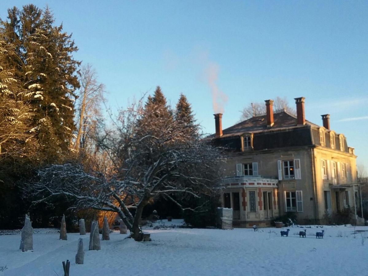 梅森马泽兰德住宿加早餐旅馆 Cirey-sur-Vezouze 外观 照片
