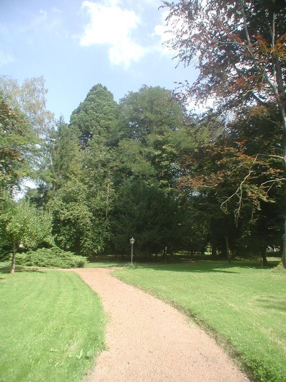 梅森马泽兰德住宿加早餐旅馆 Cirey-sur-Vezouze 外观 照片